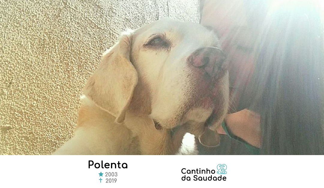 Polenta ★2003  ✟2019
