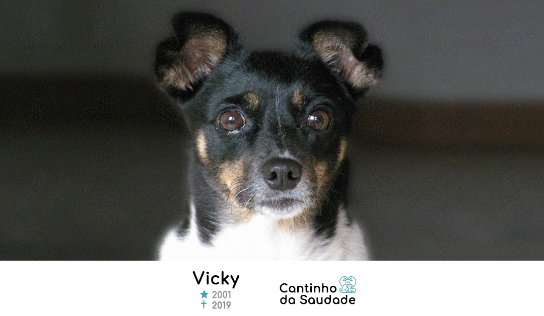 Vicky ★2001  ✟2019