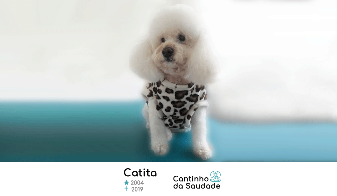 Catita ★2004 ✟2019