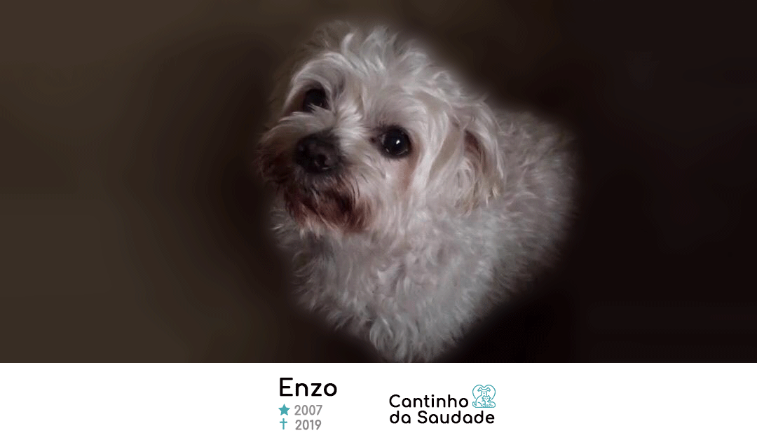 Enzo ★2007 ✟2019