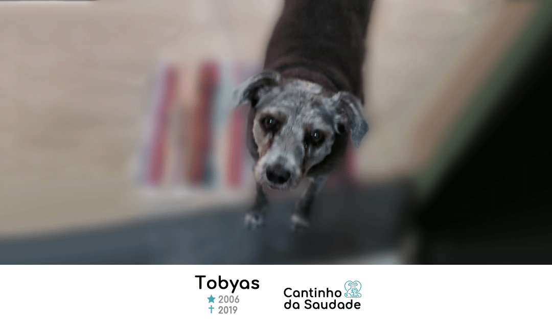Tobyas ★2008 ✟2019