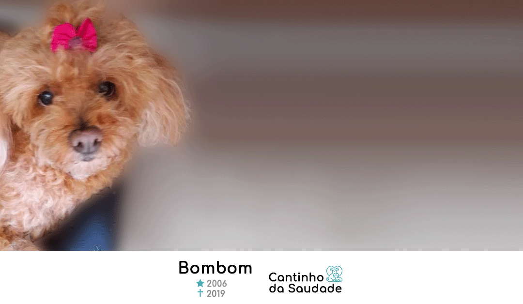 Bombom ★2006 ✟2019