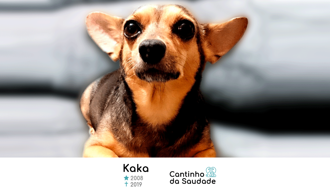 Kaka ★2008  ✟2019