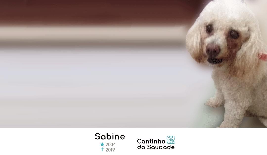 Sabine ★2004  ✟2019