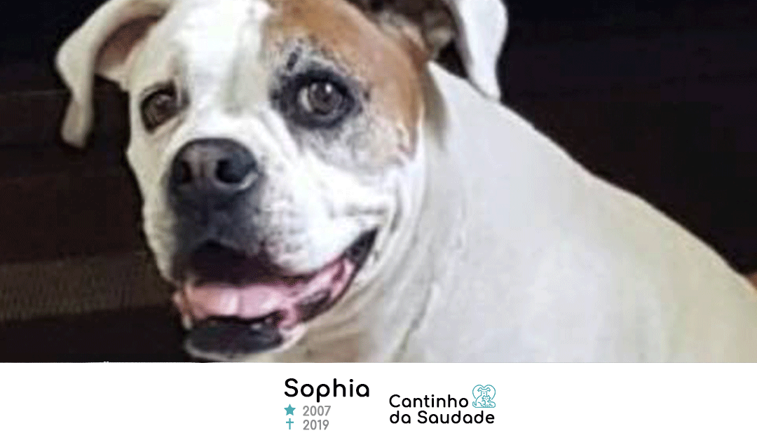 Sophia ★2007  ✟2019