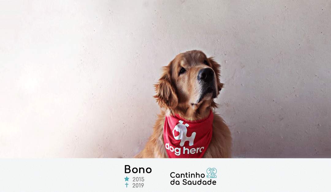 Bono ★2015  ✟2019