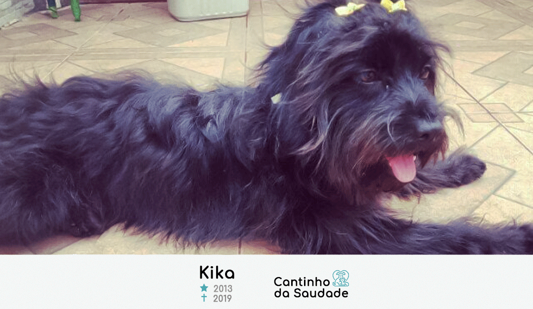 Kika ★2013  ✟2019