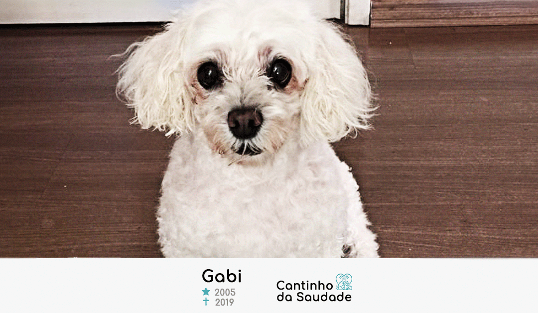 Gabi ★2005  ✟2019