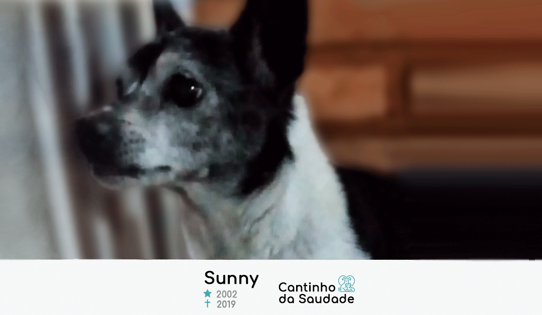 Sunny ★2002 ✟2019