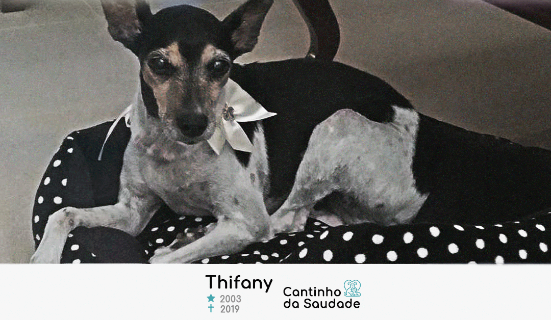 Thifany ★2003 ✟2019
