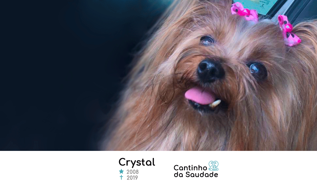 Crystal ★2008  ✟2019