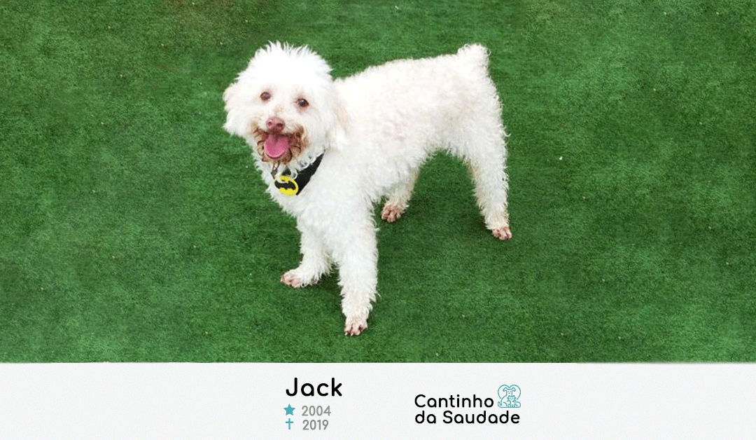 Jack ★2004  ✟2019