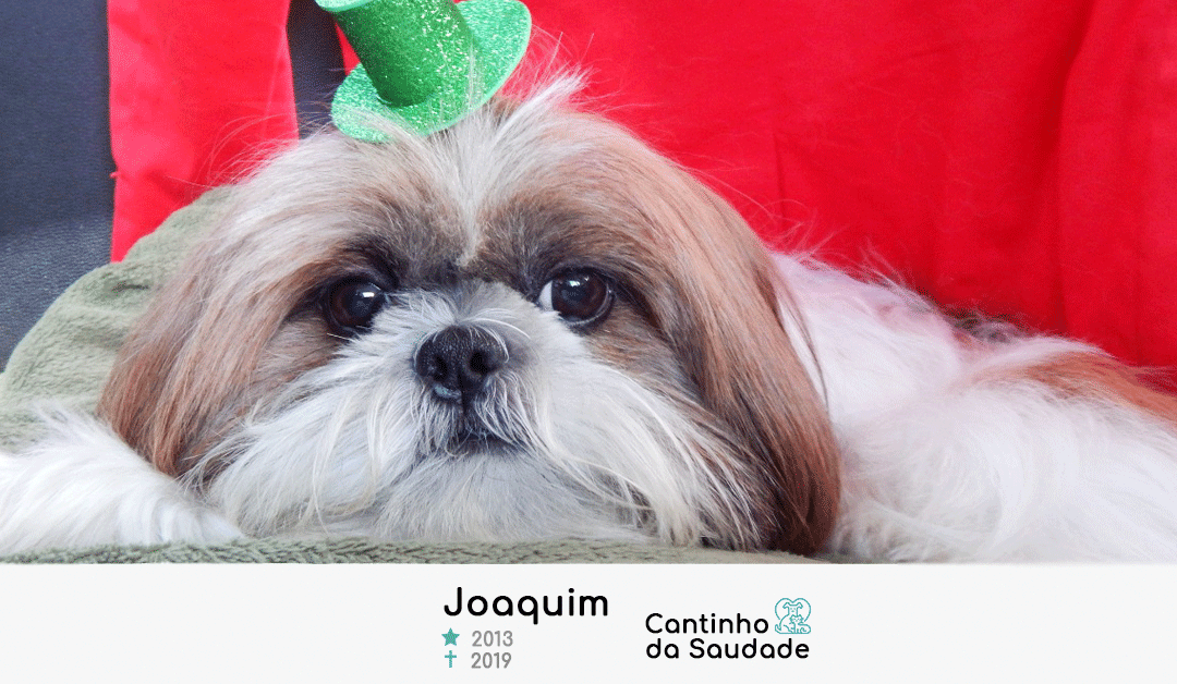 Joaquim ★2013 ✟2019