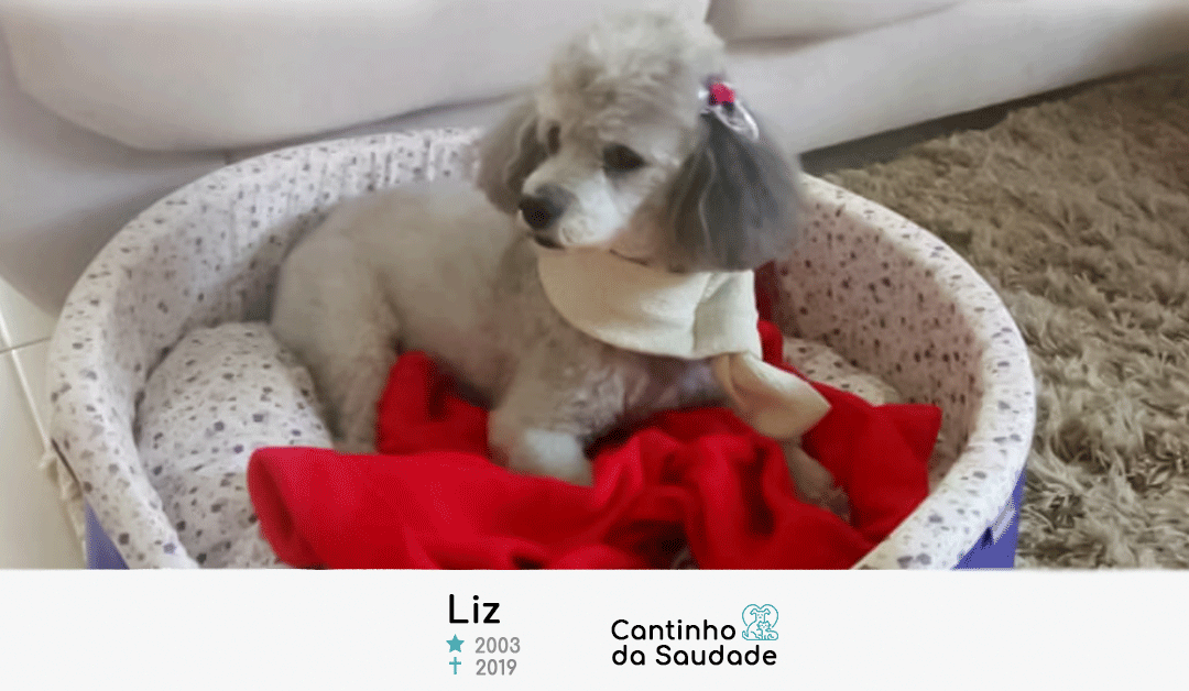 Liz ★2003 ✟2019
