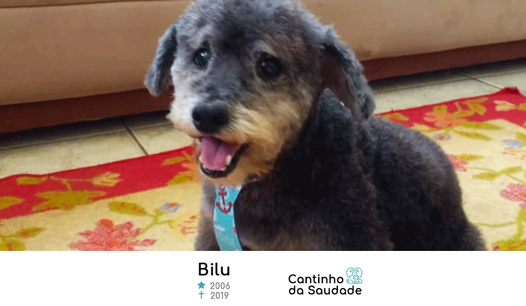 Bilu ★2006  ✟2019