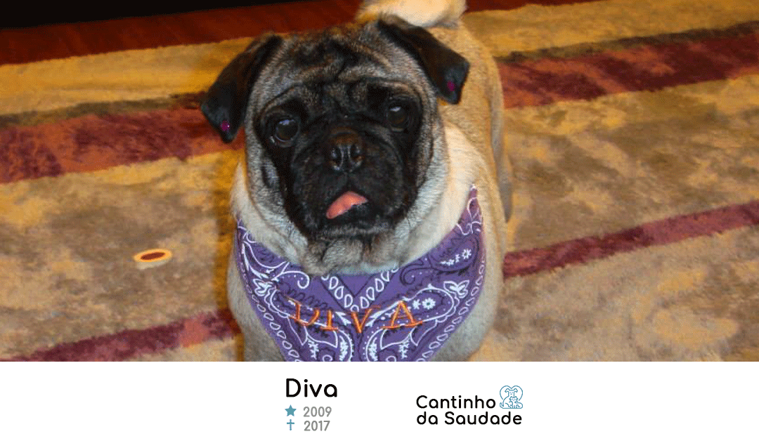 Diva ★2009 ✟2017