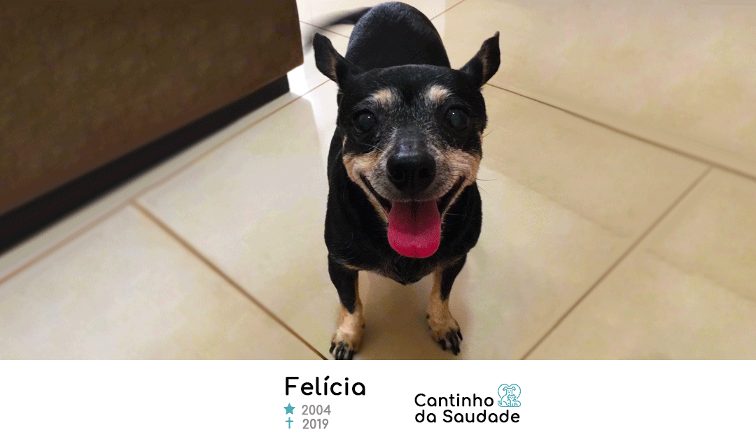 Felícia ★2004  ✟2019