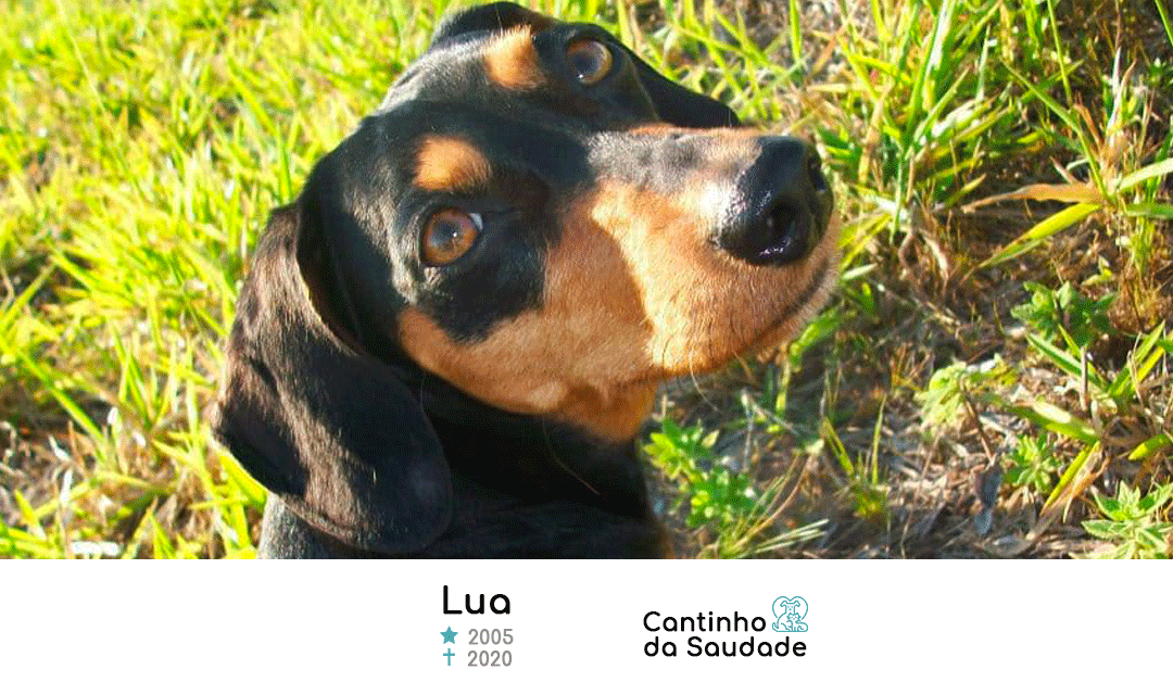 Lua ★2005  ✟2020