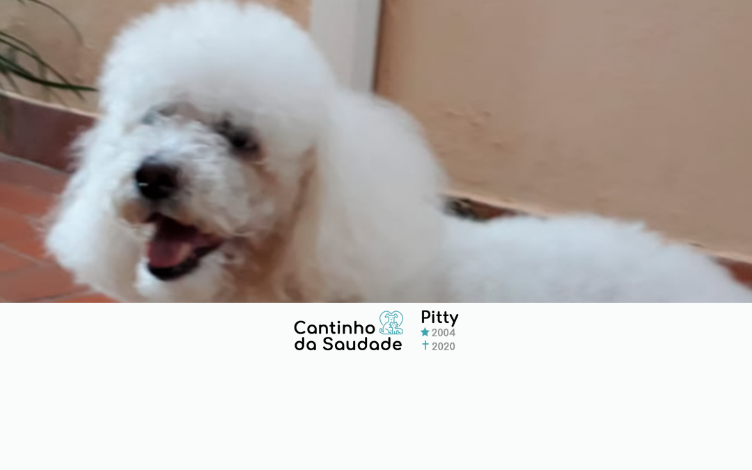 Pitty ★2004 ✟2020