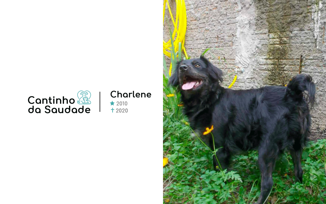 Charlene ★2010  ✟2020