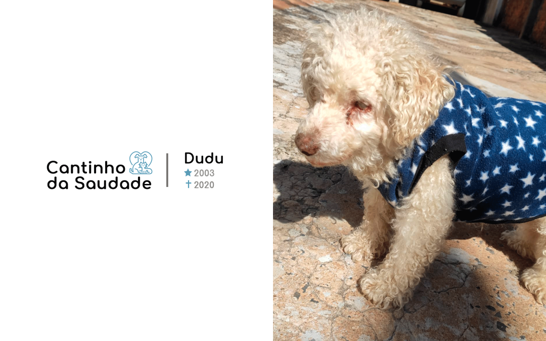 Dudu ★2003  ✟2020