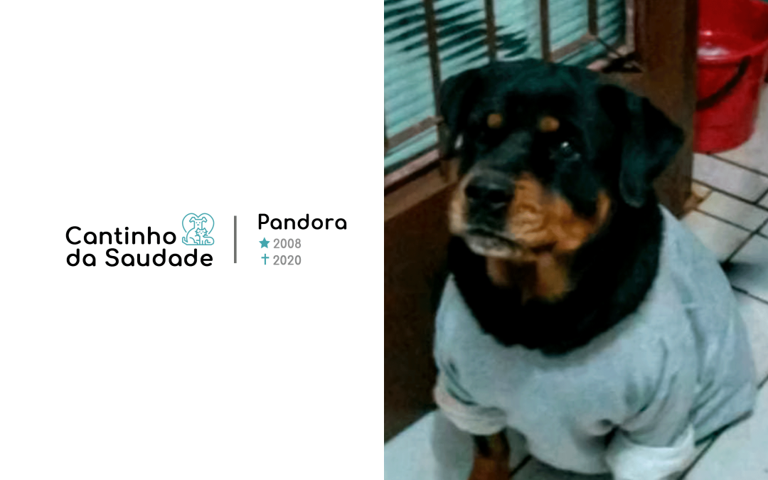 Pandora ★2008 ✟2020
