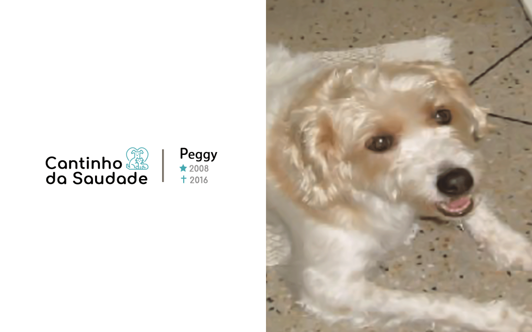 Peggy ★2008 ✟2016