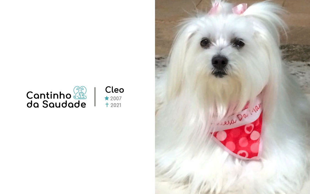 Cleo ★2007 ✟2021