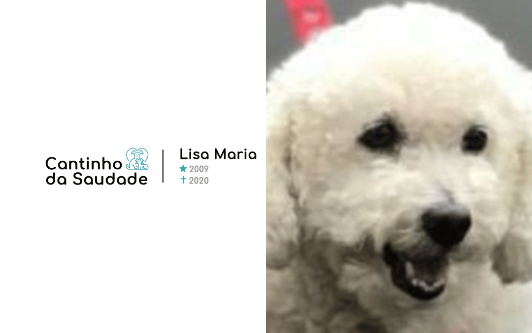 Lisa Maria ★2009 ✟2020