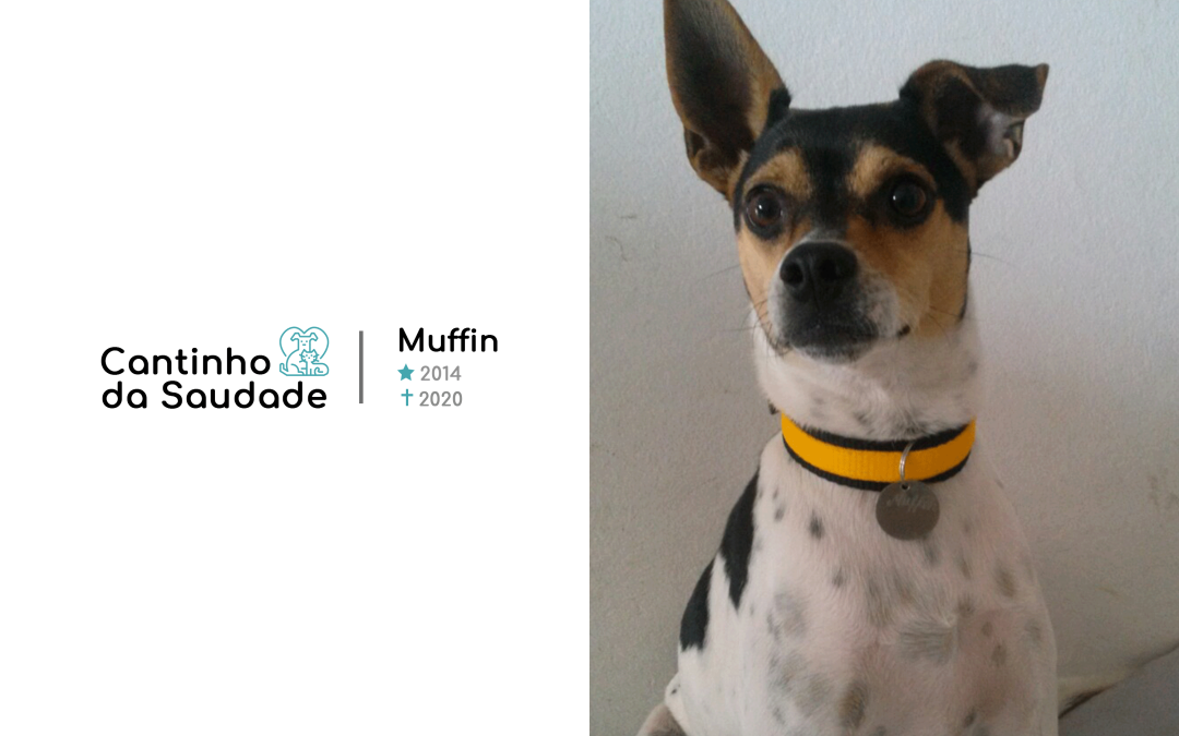 Muffin ★2014 ✟2020