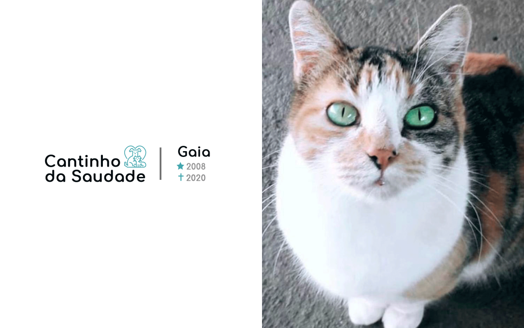 Gaia ★2008 ✟2020