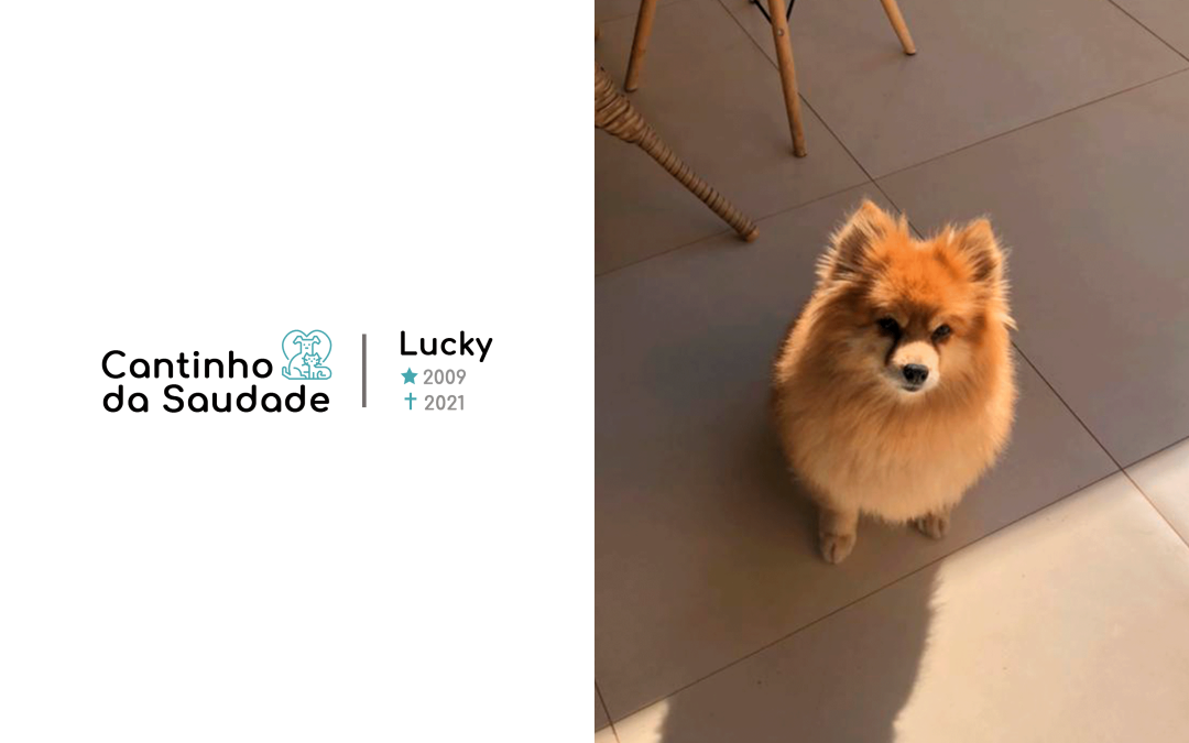 Lucky ★2009 ✟2021