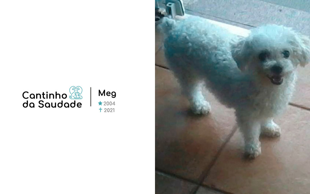Meg ★2004 ✟2021