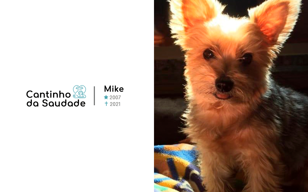 Mike ★2009 ✟2021