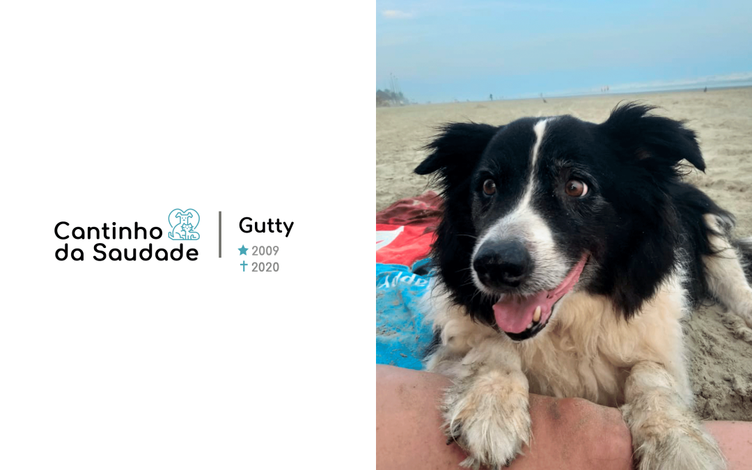 Gutty ★2009 ✟2020