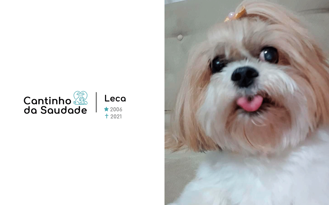 Leca ★2006 ✟2021