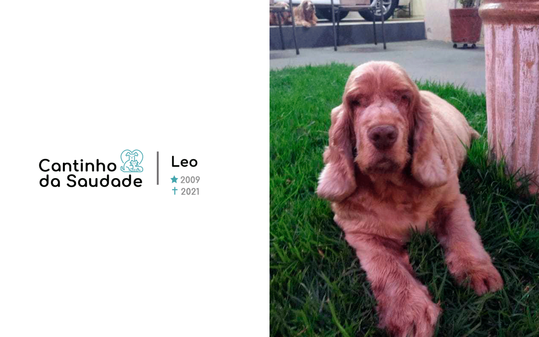 Léo ★2009 ✟2021