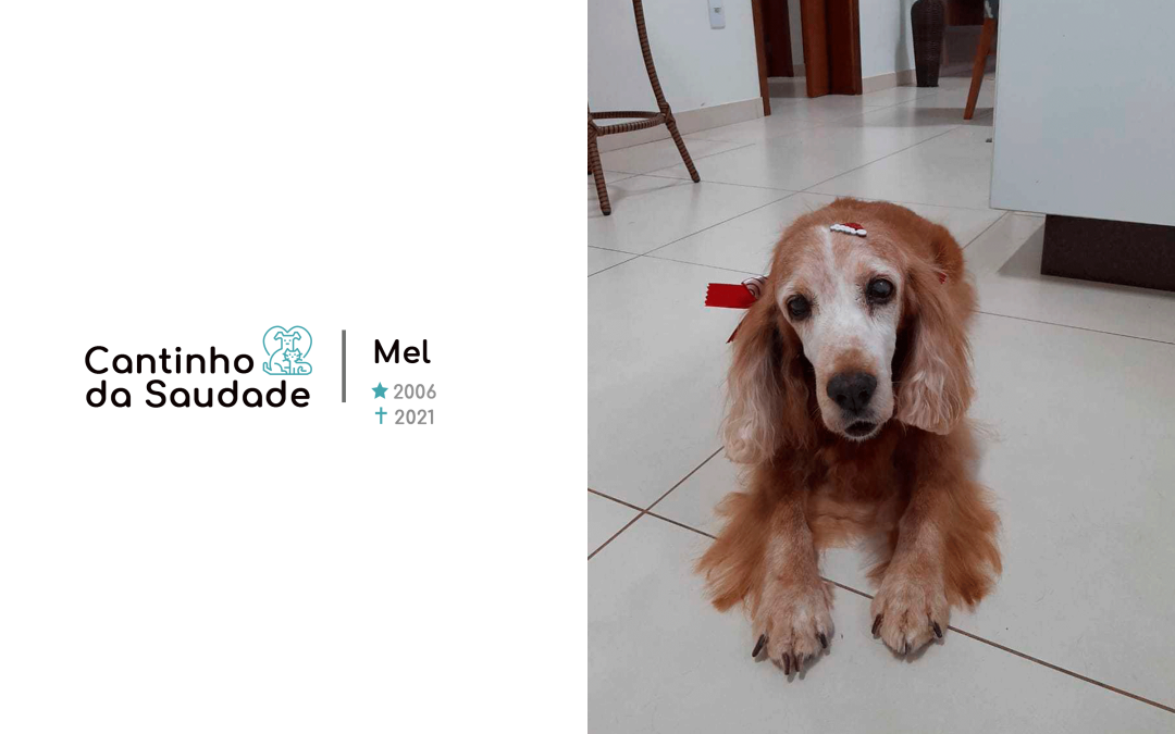 Mel ★2006 ✟2021