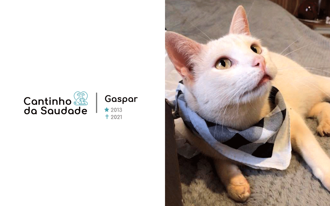 Gaspar ★2013 ✟2021
