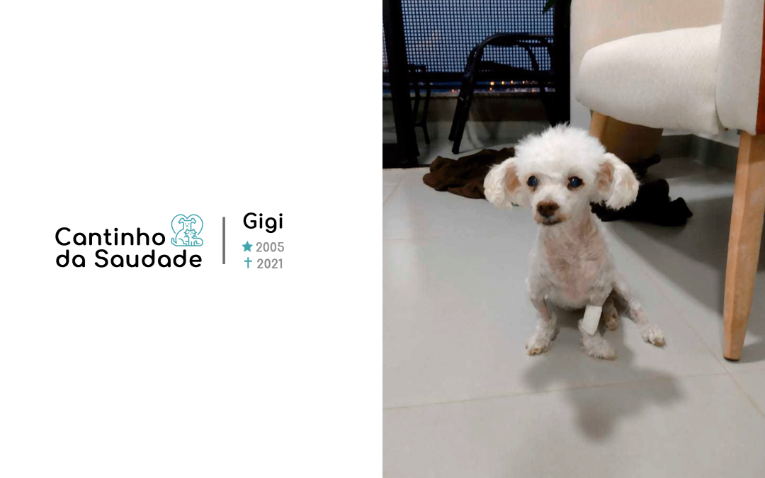 Gigi ★2005 ✟2021