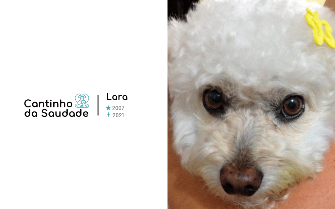 Lara ★2007 ✟2021