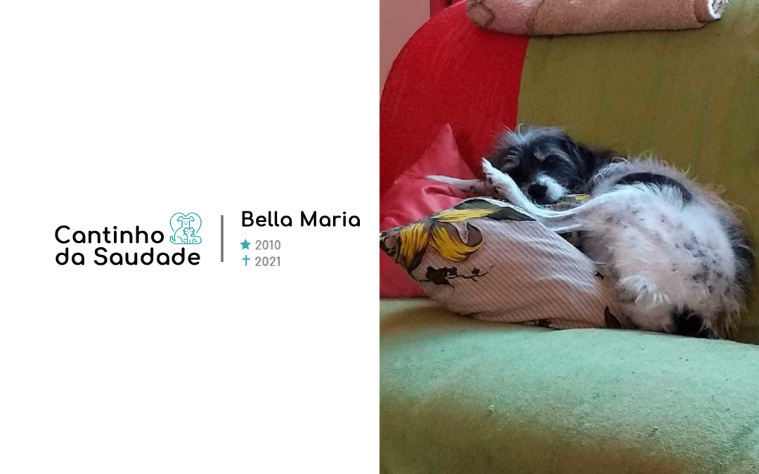 Bella Maria ★2010 ✟2021