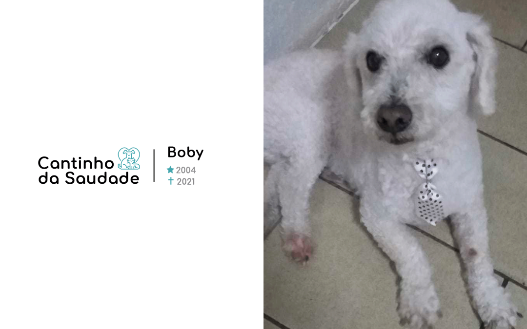 Boby ★2004 ✟2021
