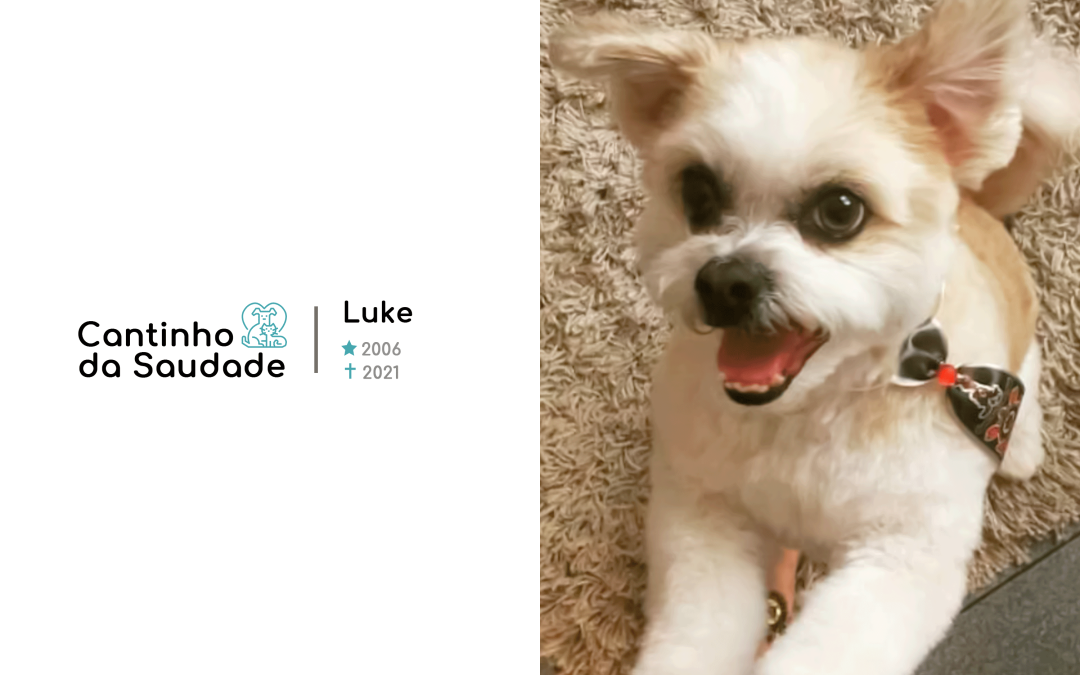 Luke ★2006 ✟2021