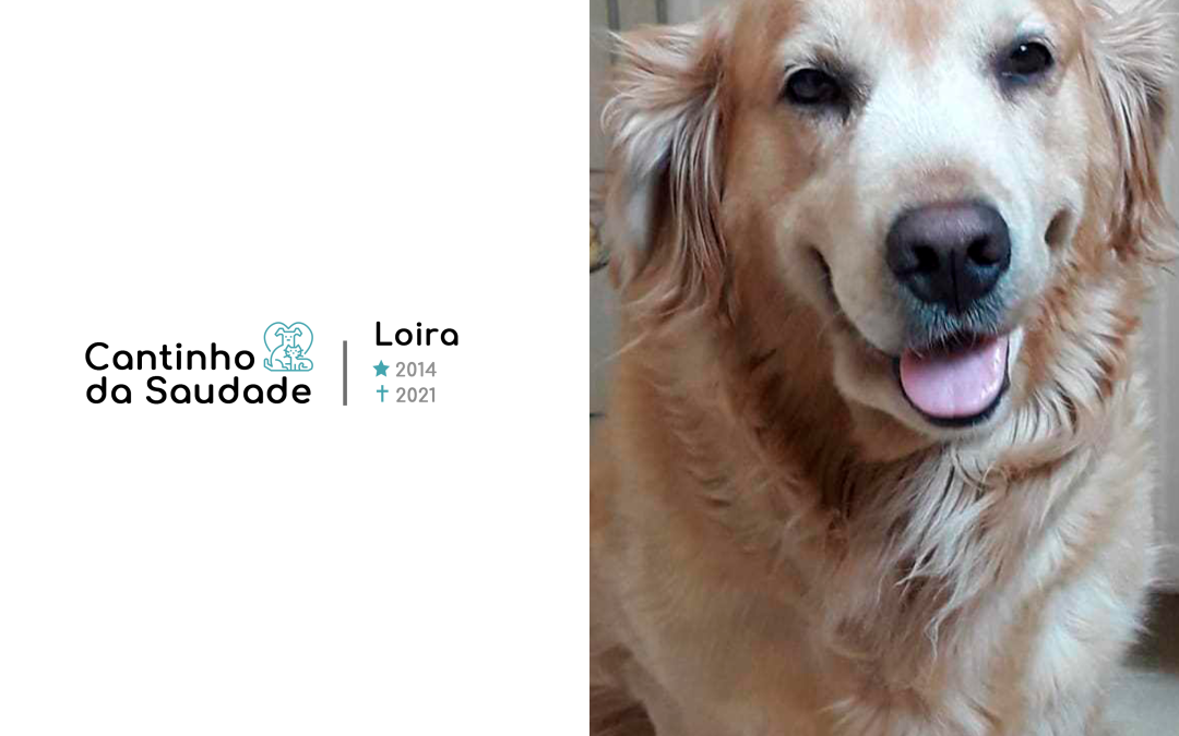 Loira ★2014 ✟2021