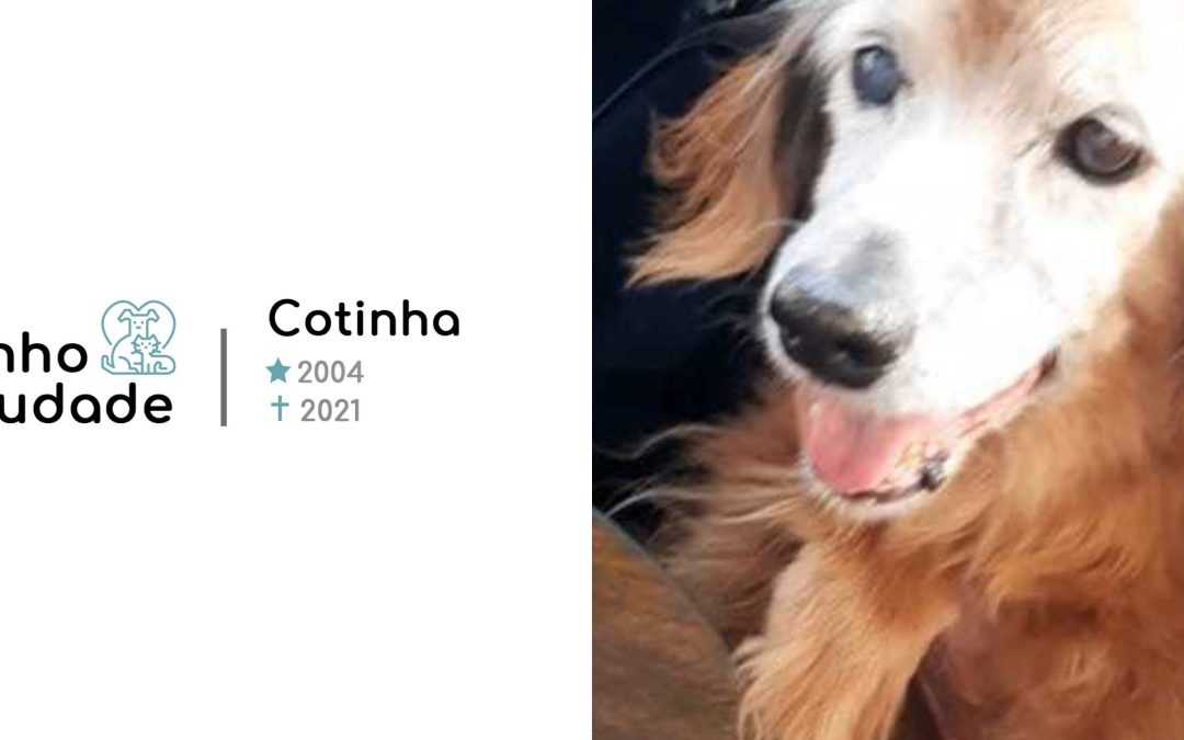 Cotinha ★2004 ✟2021