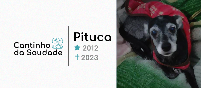 Pituca ★2012 ✟2023