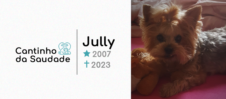 Jully ★2007 ✟2023