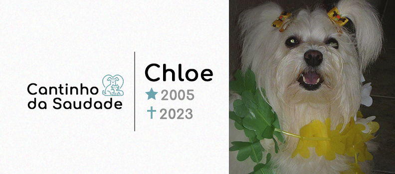 Cholé ★2005 ✟2023