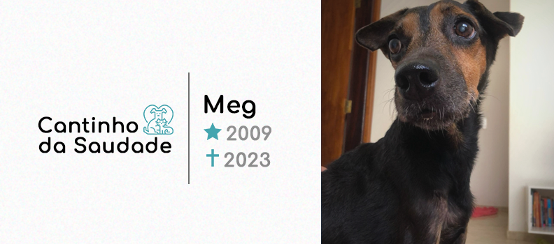 Meg ★2009 ✟2023